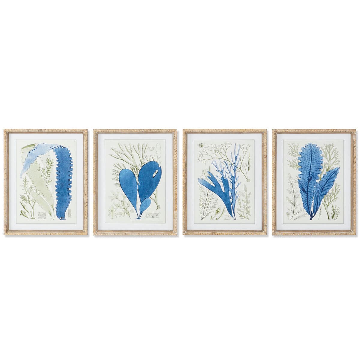 Blue feathers wall art set (4 frames)