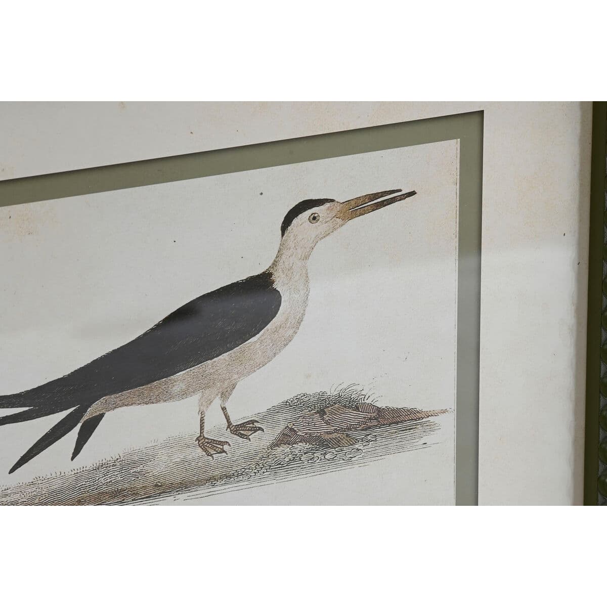 Wanddecoratie set vintage vogels (6 lijsten) - foto 3