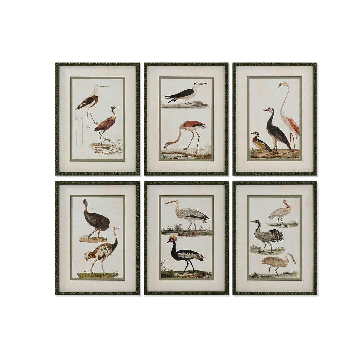Vintage birds wall art set (6 frames)
