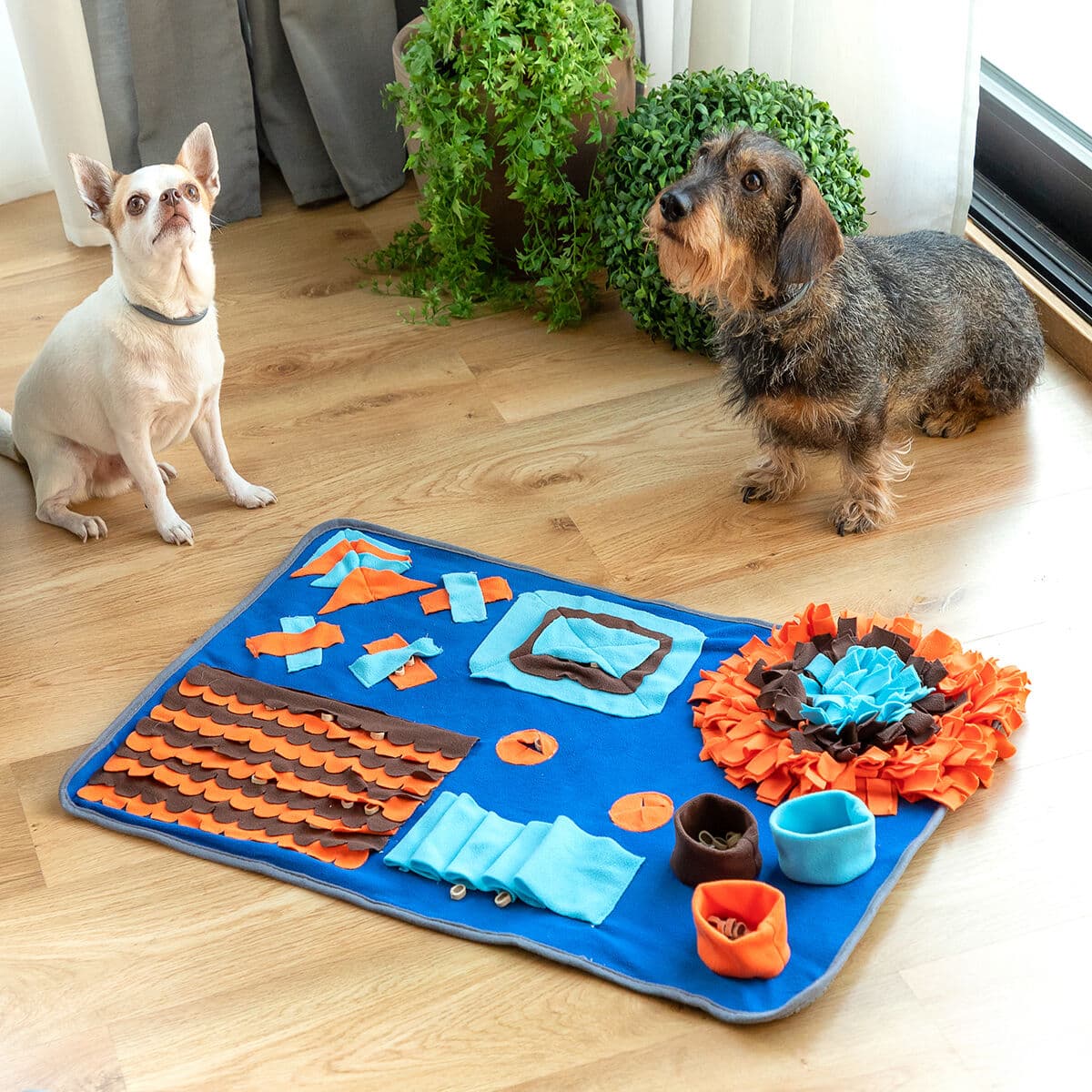Sniffing mat premium