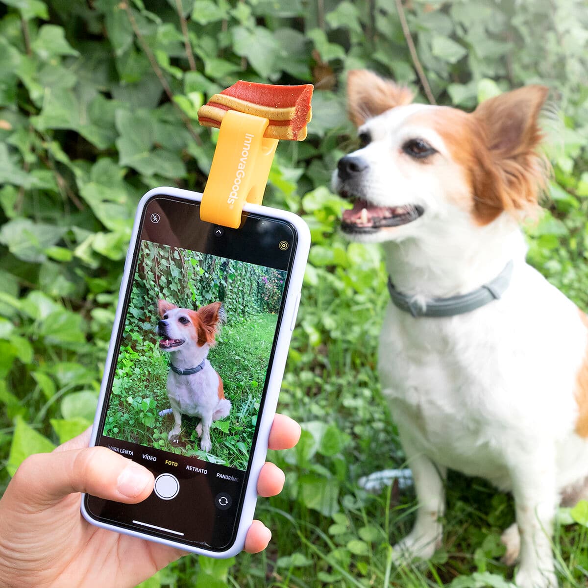 Selfie clip for your pet